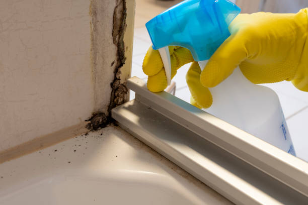 Best Mold Testing  in Etowah, NC