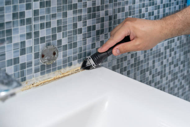 Best Mold Testing  in Etowah, NC